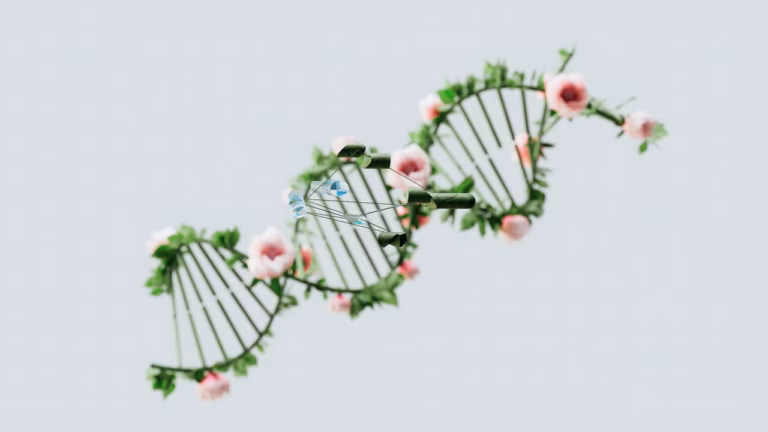 BioNTech сообщает о неблагоприятных результатах исследования мРНК‑препарата